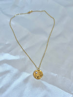 Gold Coast Necklace, Sand Dollar Necklace