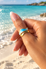 Bahamian Sea Ring
