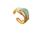 Bahamian Sea Ring